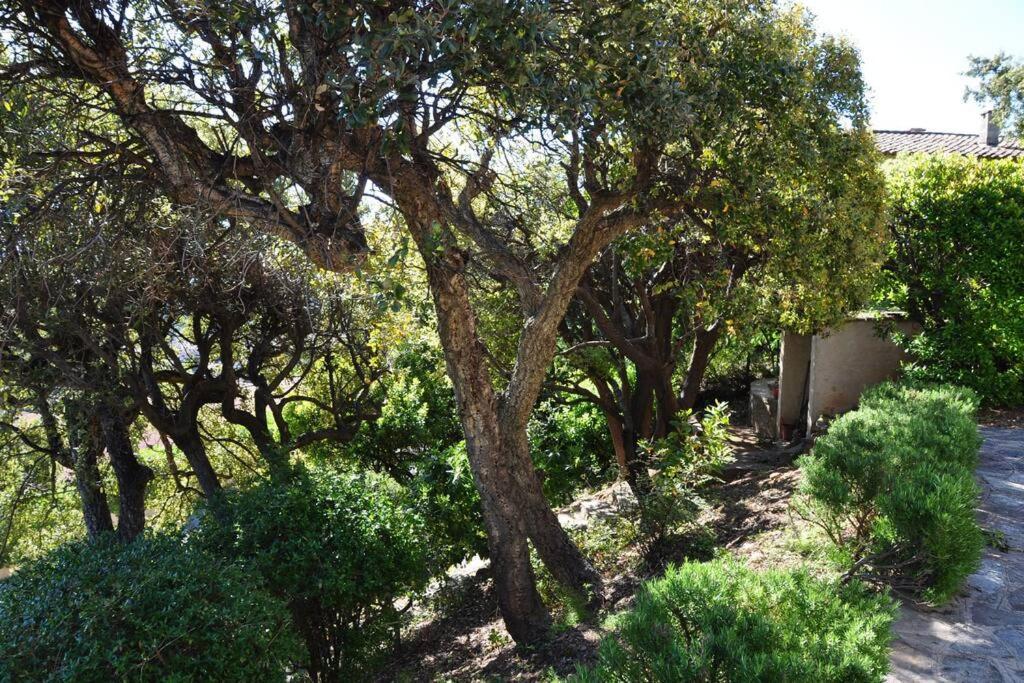Villa Abeille : Douces Vacances D'Ete Avec Vue Mer كافالير سور مير المظهر الخارجي الصورة